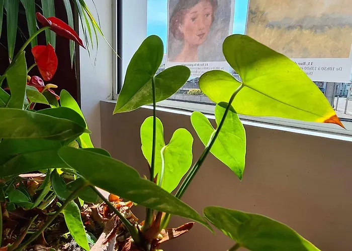 Cap D'ambre Hotel 2*